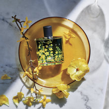 Load image into Gallery viewer, NEST New York - NEST New York Citrine Eau de Parfum (50mL) NEST19CT001